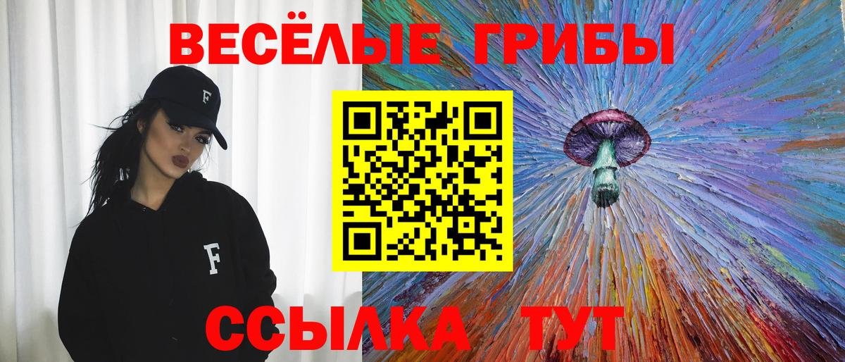 Псилоцибиновые грибы Psilocybine cubensis  Галлюциногенные грибы ЛСД  Вход с VPN  Череповец 